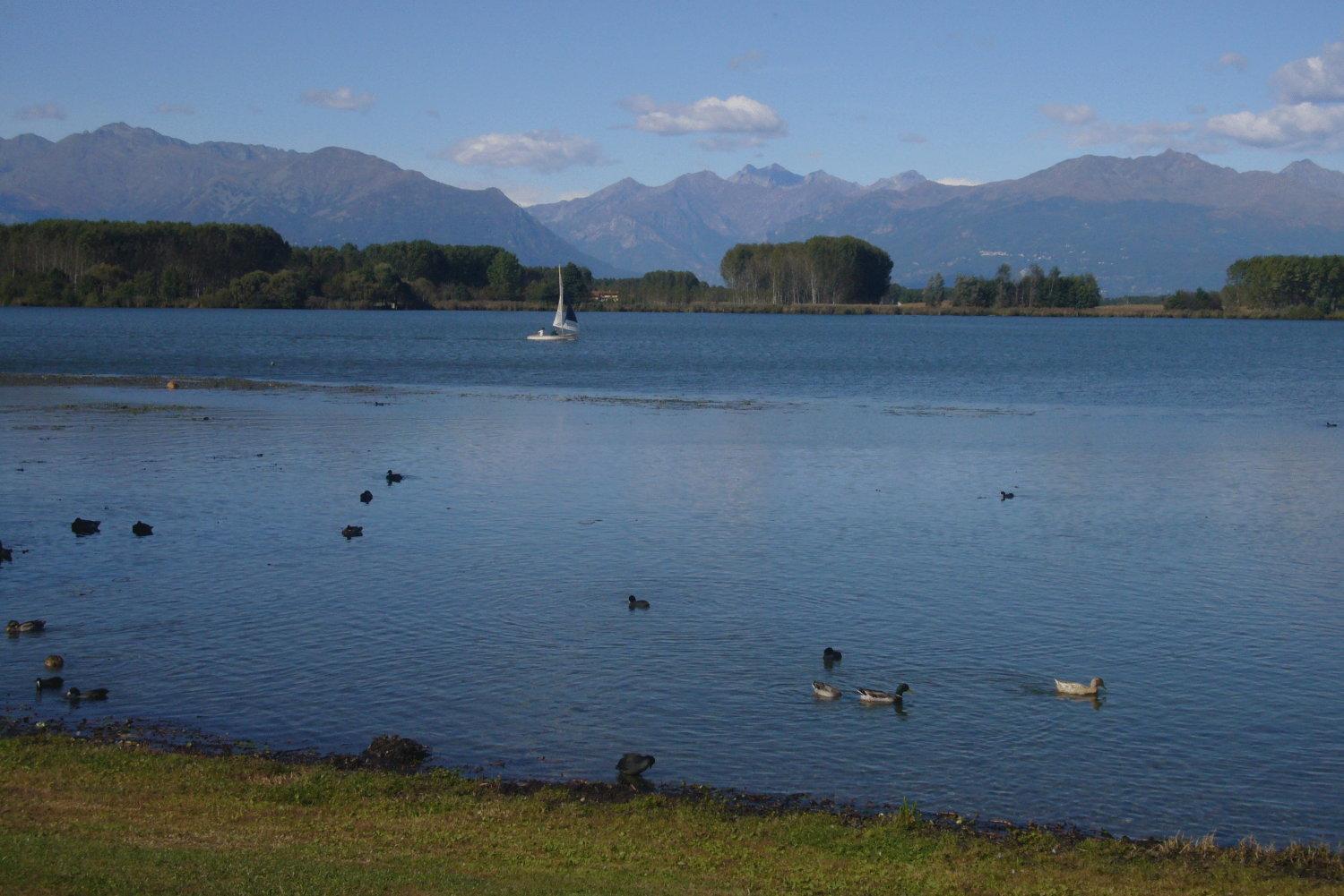 Residenza Del Lago Candia Canavese Zewnętrze zdjęcie